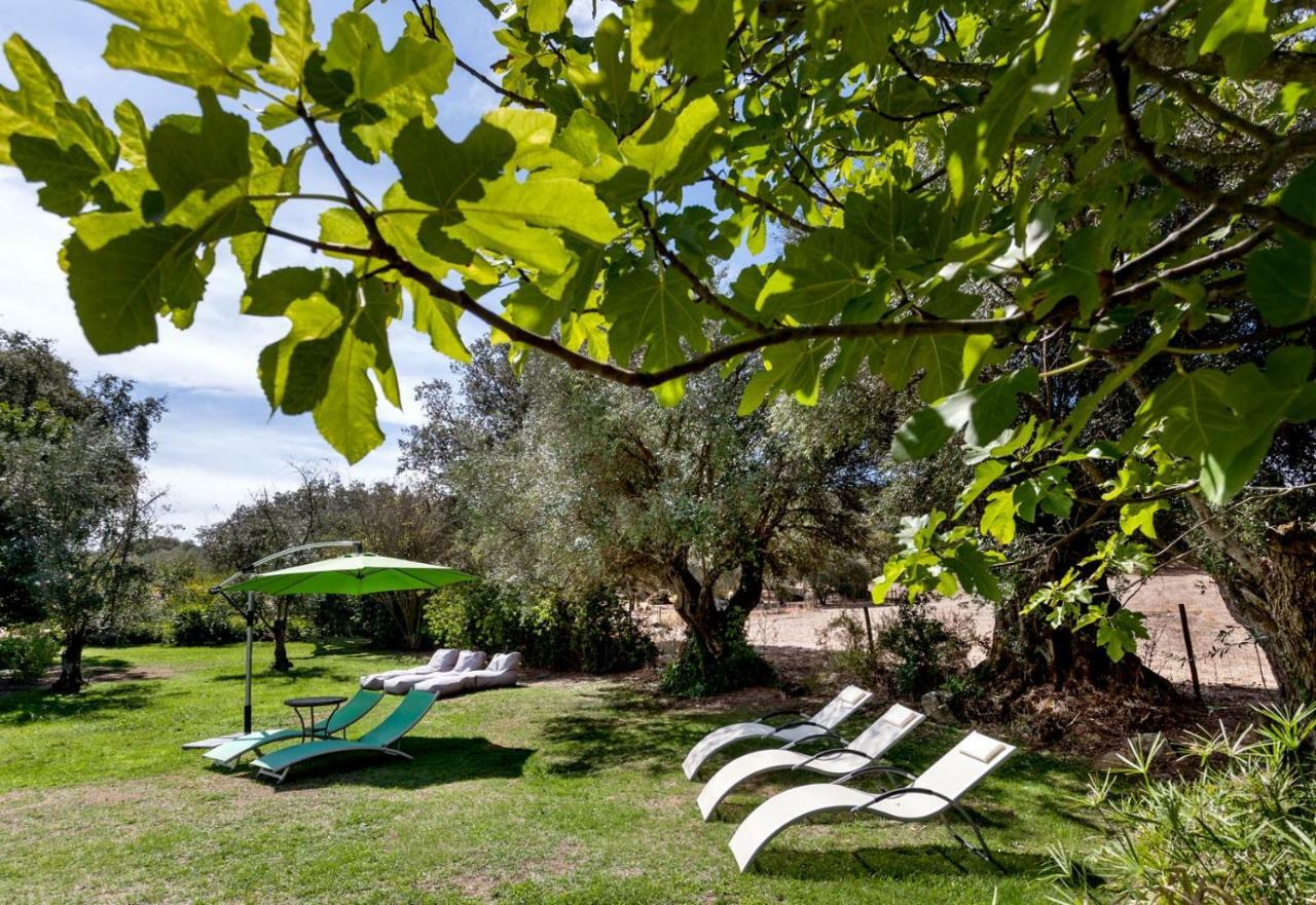 Monte Do Serrado De Baixo Guest house 4*